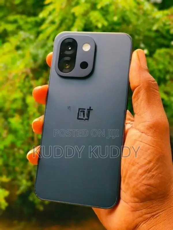 OnePlus 13S 5G 256GB (Used)