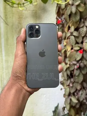 Apple iPhone 12 Pro 256GB (Used)