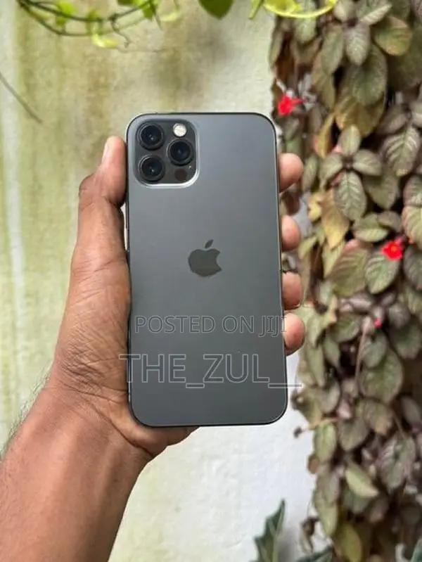 Apple iPhone 12 Pro 256GB (Used)