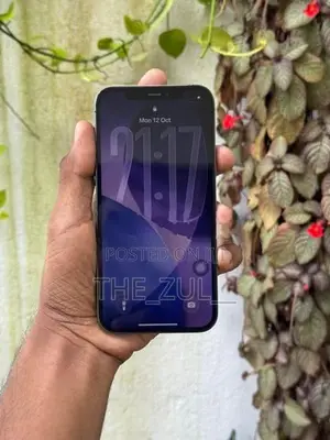 Apple iPhone 12 Pro 256GB (Used)