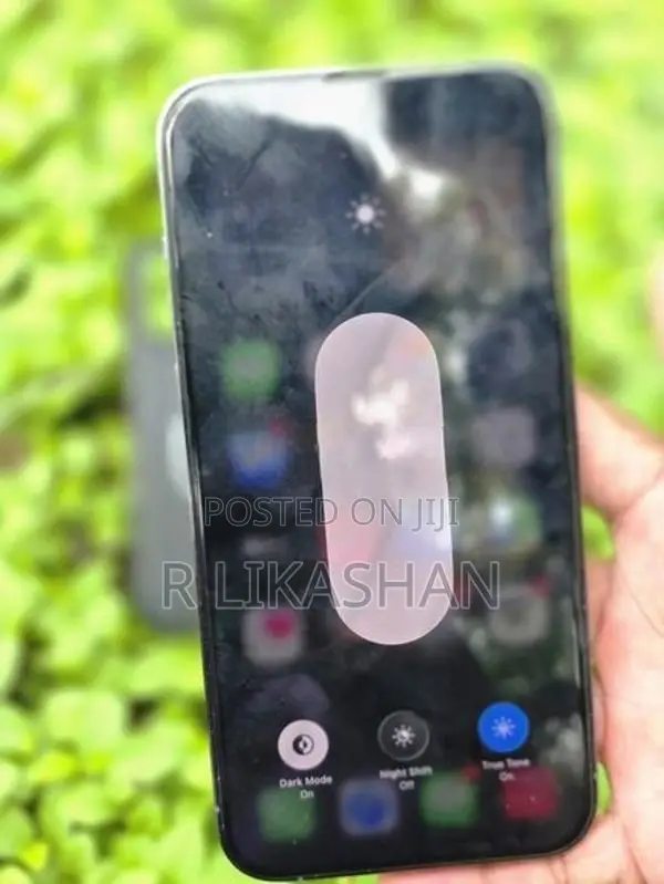Apple iPhone 13 Pro Max (Used)