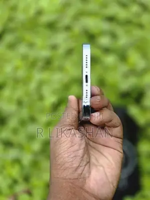 Apple iPhone 13 Pro Max (Used)