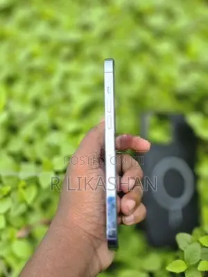 Apple iPhone 13 Pro Max (Used)