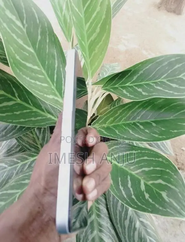 Oscal (Used)