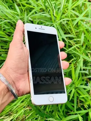Apple iPhone 7 Plus (Used)