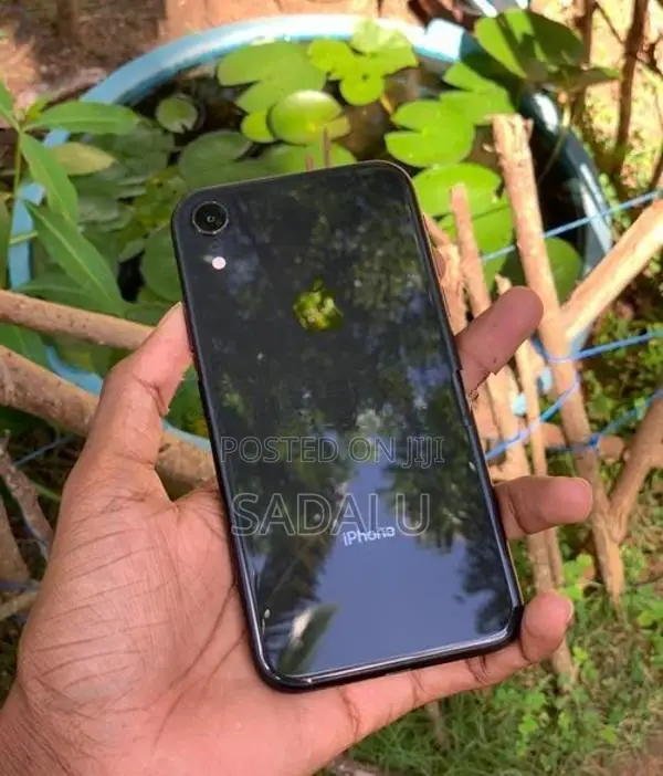 Apple iPhone XR (Used)