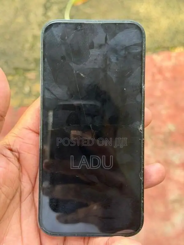 Apple iPhone 13 128GB (Used)
