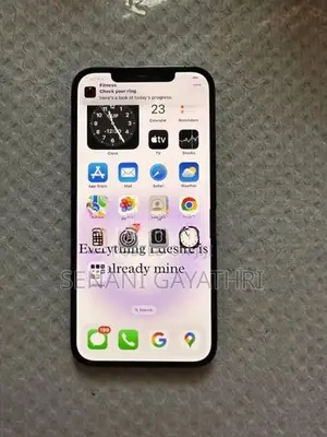 Apple iPhone 12 Pro Max (Used)