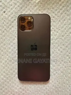 Apple iPhone 12 Pro Max (Used)