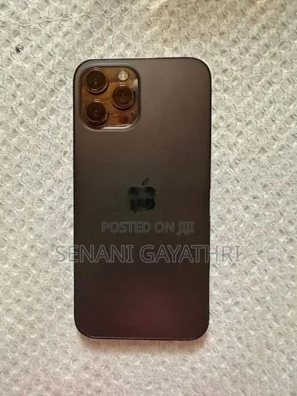 Apple iPhone 12 Pro Max (Used)