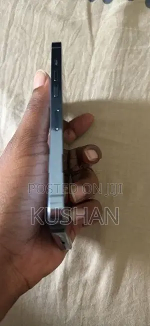 Apple iPhone 13 Pro 256GB Sierra (Used)