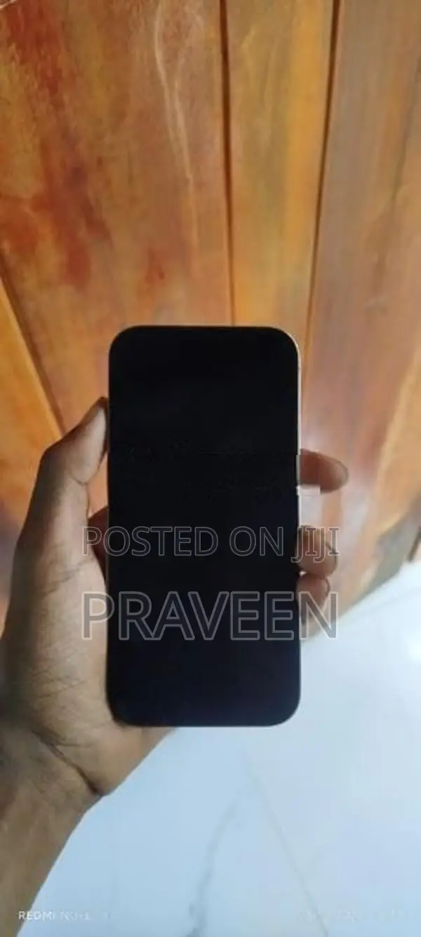 Apple iPhone 14 Pro (Used)
