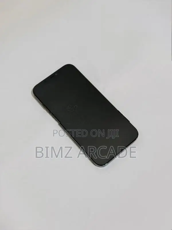 Apple iPhone 12 Pro Max 128GB (Used)