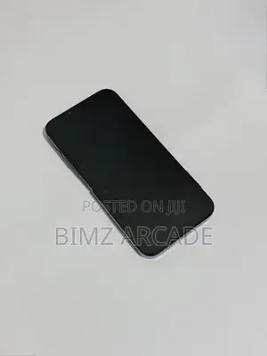 Apple iPhone 13 Pro Max 128GB (Used)