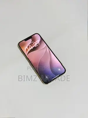 Apple iPhone 13 Pro Max 256GB (Used)