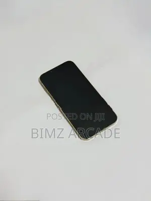 Apple iPhone 13 Pro Max 256GB (Used)