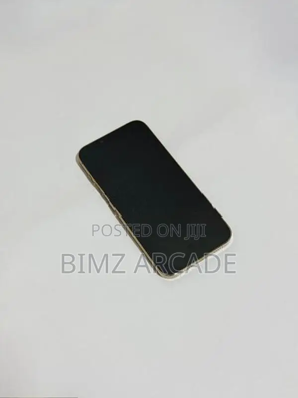 Apple iPhone 13 Pro Max 256GB (Used)