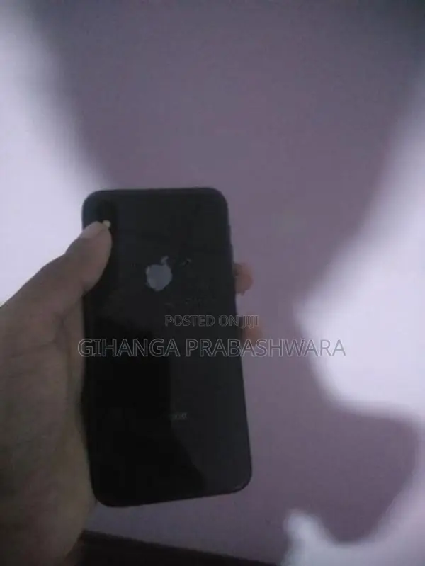 Apple iPhone X 256GB (Used)