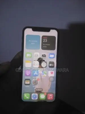 Apple iPhone X 256GB (Used)