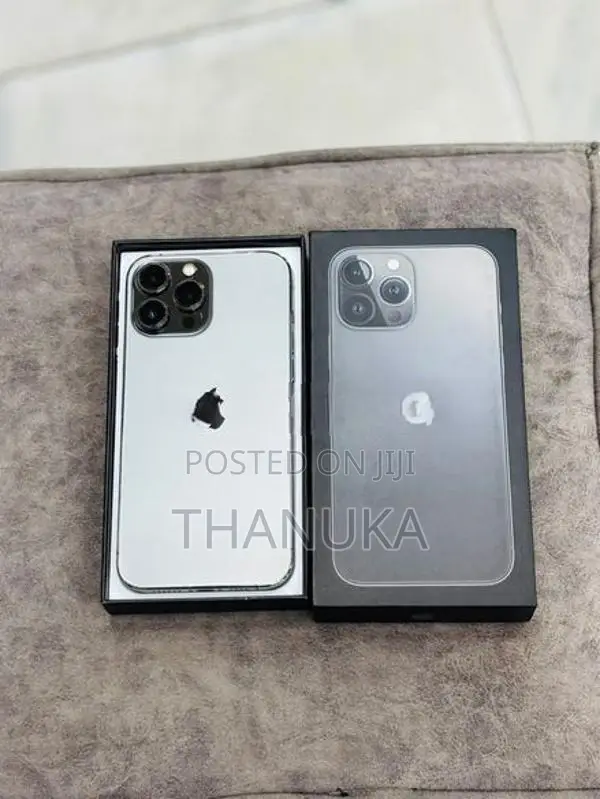 Apple iPhone 13 Pro Max 256GB (Used)