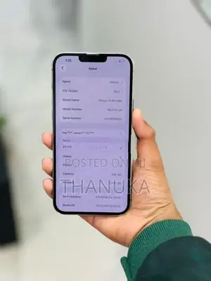 Apple iPhone 13 Pro Max 256GB (Used)