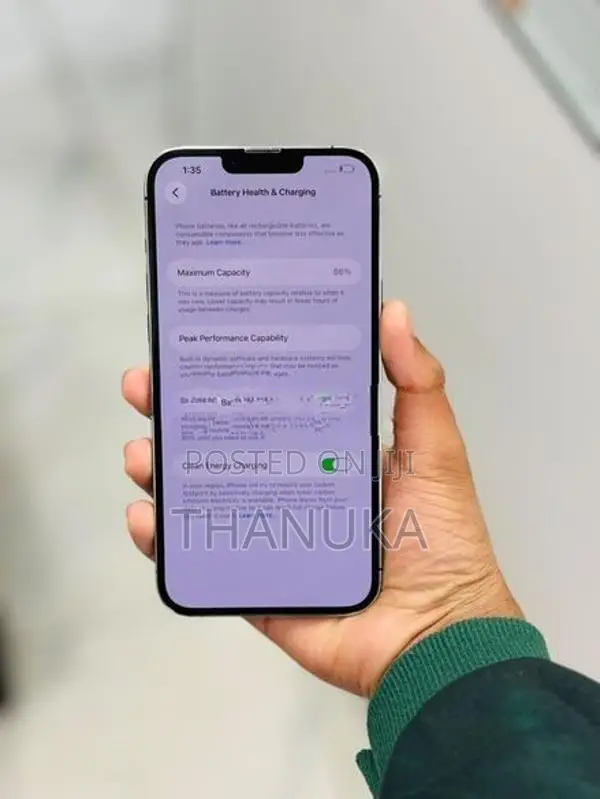 Apple iPhone 13 Pro Max 256GB (Used)