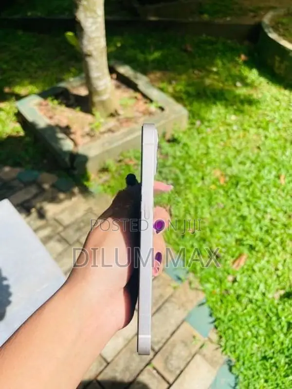 Apple iPhone 13 (Used)