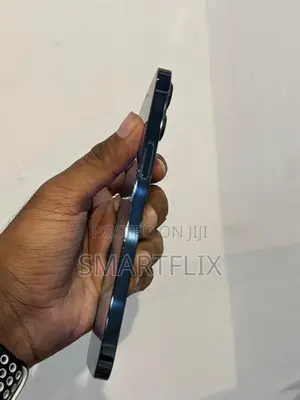 Apple iPhone 12 Pro (Used)