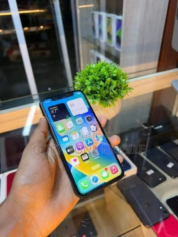 Apple iPhone X 256GB (Used)