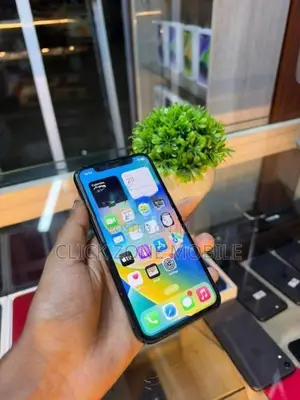 Apple iPhone X 256GB (Used)