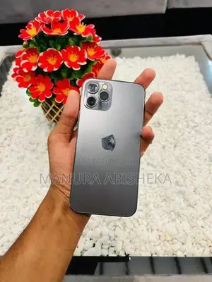 Apple iPhone 12 Pro (Used)
