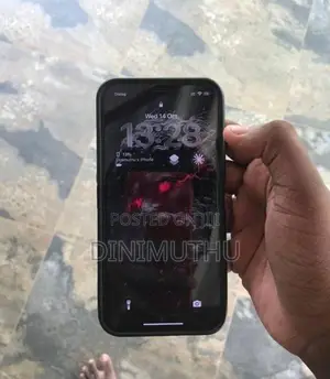 Apple iPhone 12 (Used)