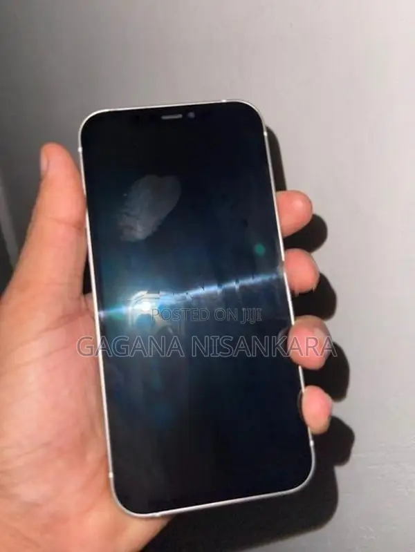 Apple iPhone 12 (Used)