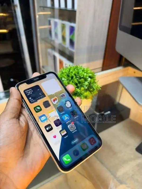 Apple iPhone 11 128GB (Used)