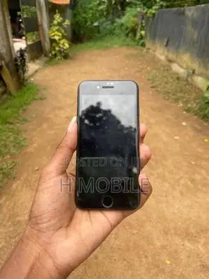 Apple iPhone 8 (Used)