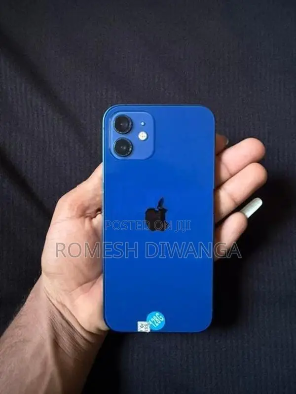 Apple iPhone 12 (Used)