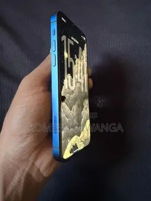 Apple iPhone 12 (Used)