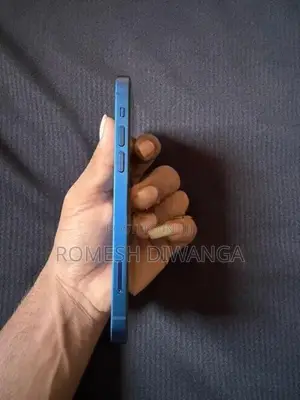 Apple iPhone 12 (Used)
