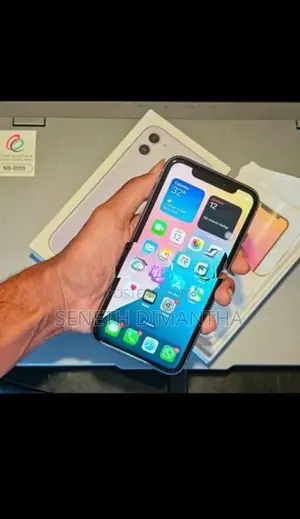 Apple iPhone 11 (Used)