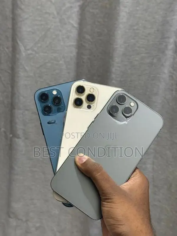 Apple iPhone 12 Pro Max (Used)