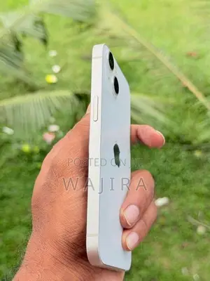 Apple iPhone 13 256GB (Used)