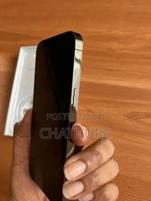 Apple iPhone 13 Pro 256GB (Used)