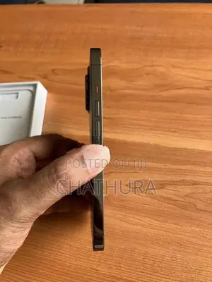 Apple iPhone 13 Pro 256GB (Used)