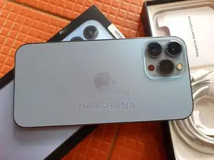 Apple iPhone 13 Pro Max (Used)