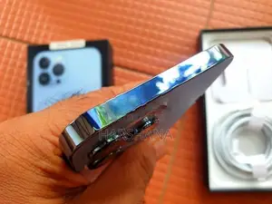 Apple iPhone 13 Pro Max (Used)