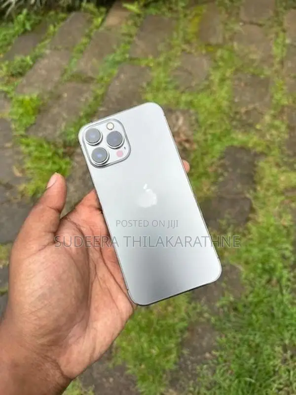 Apple iPhone 13 Pro Max 256GB (Used)