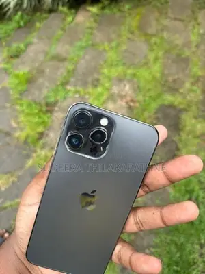 Apple iPhone 13 Pro Max 256GB (Used)