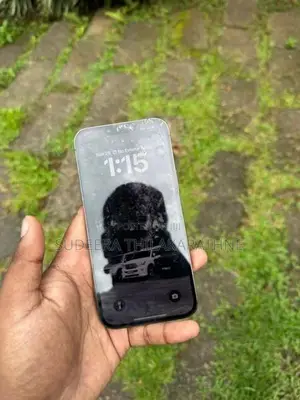 Apple iPhone 13 Pro Max 256GB (Used)