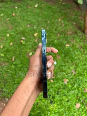 Apple iPhone 12 Pro (Used)