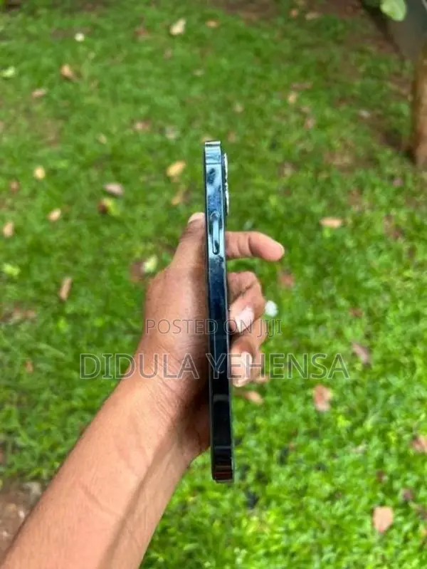 Apple iPhone 12 Pro (Used)
